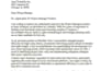 write, edit, and rewrite your professional CV and resume